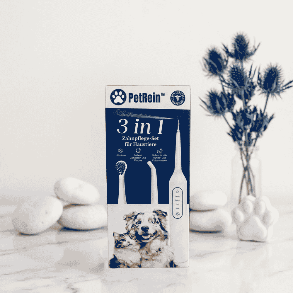 PetRein